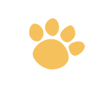 Pet Charm